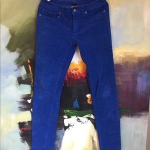 Cobalt blue Patagonia cords